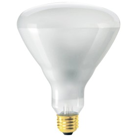 LED A60 Bulb