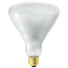 LED A60 Bulb