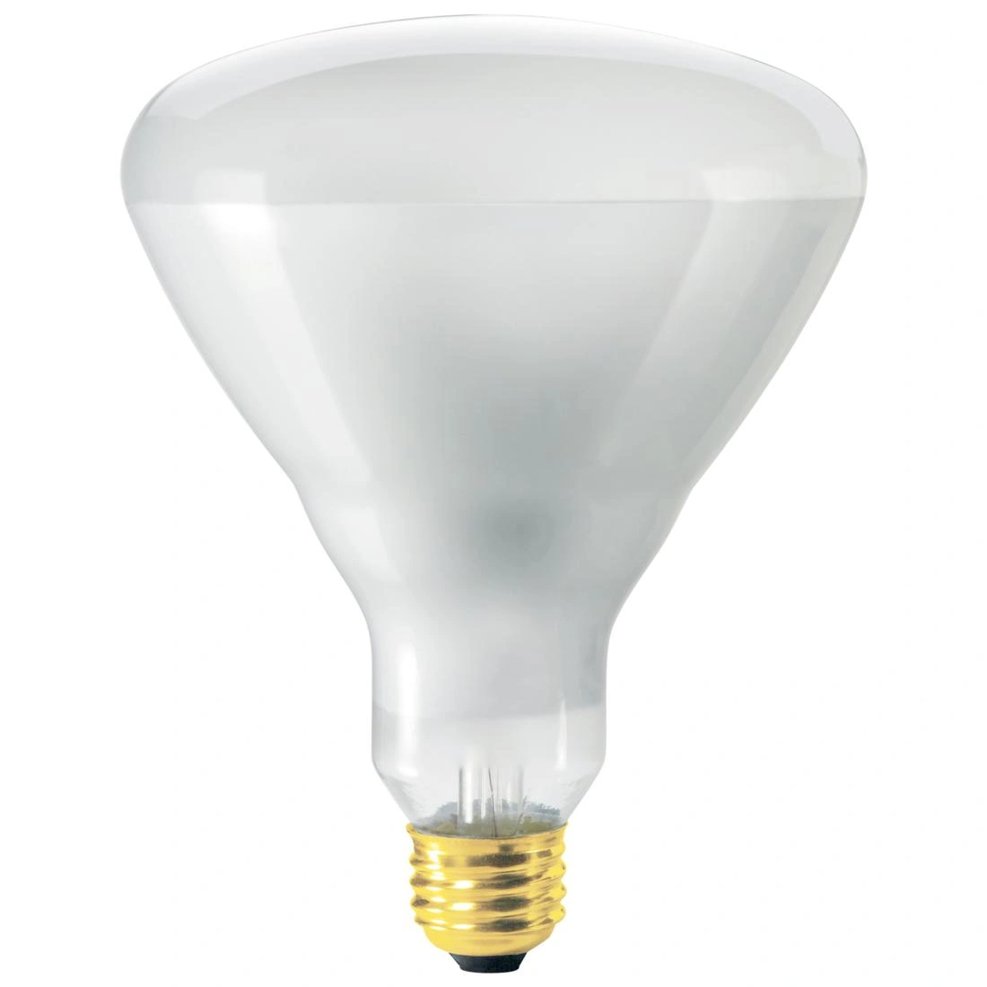 LED A60 Bulb