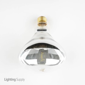 LED A60 Bulb